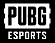 PUBG esports